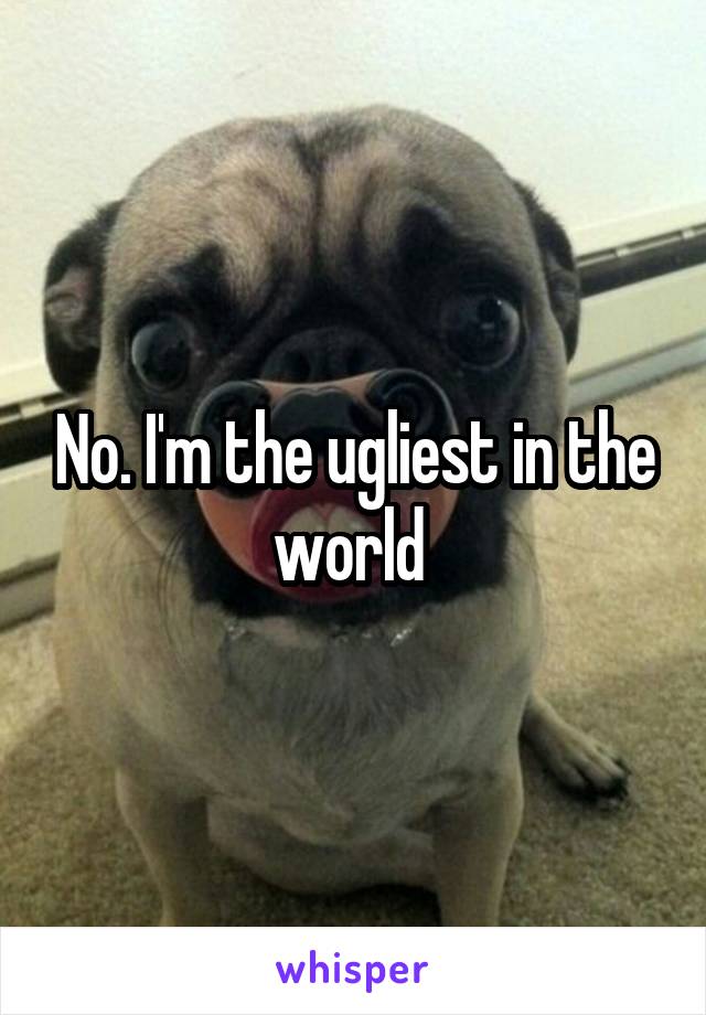 No. I'm the ugliest in the world 