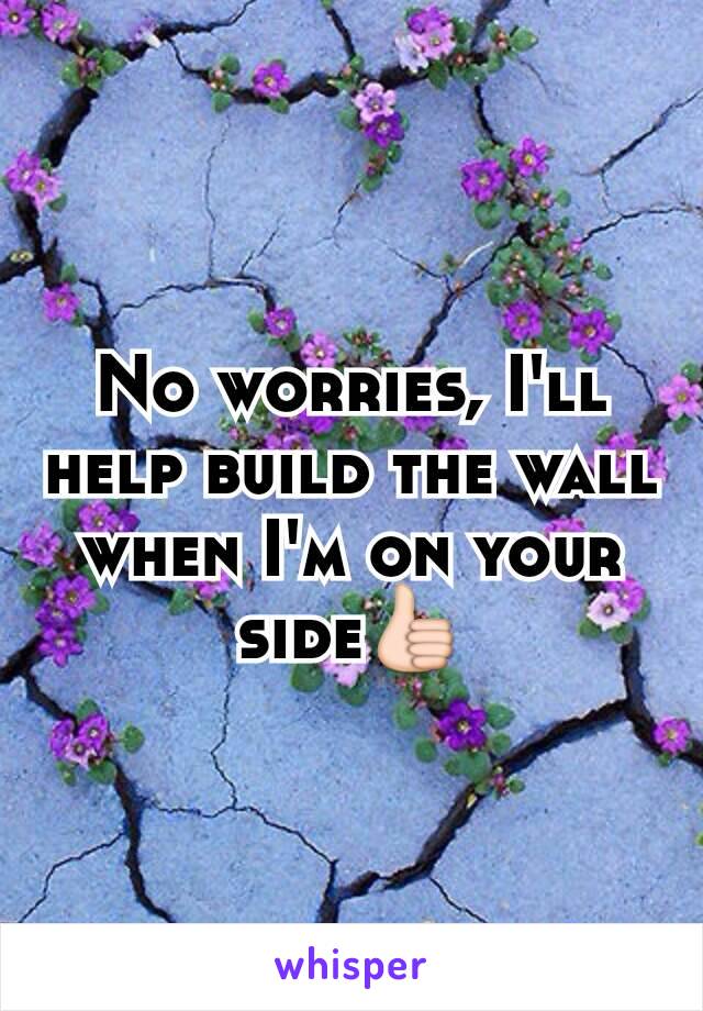 No worries, I'll help build the wall when I'm on your side👍