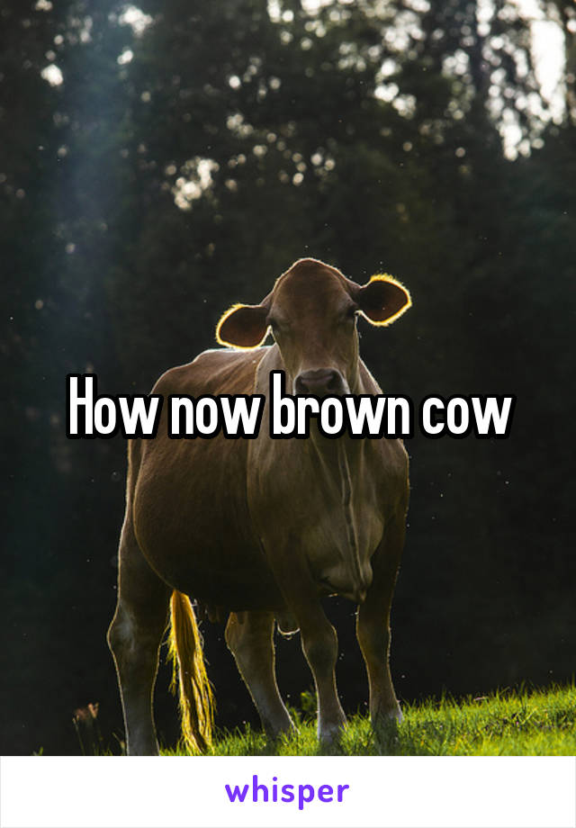 How now brown cow