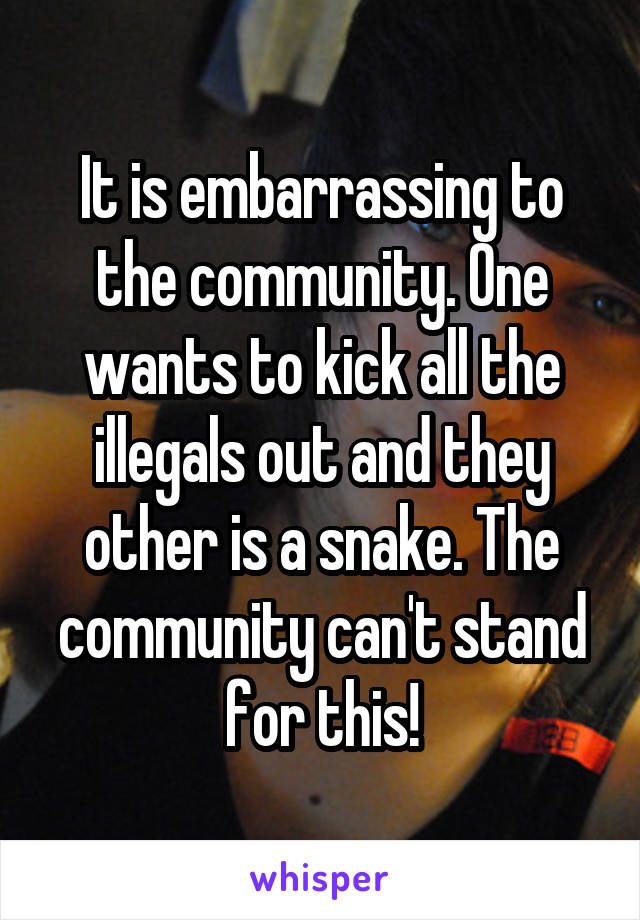 It is embarrassing to the community. One wants to kick all the illegals out and they other is a snake. The community can't stand for this!