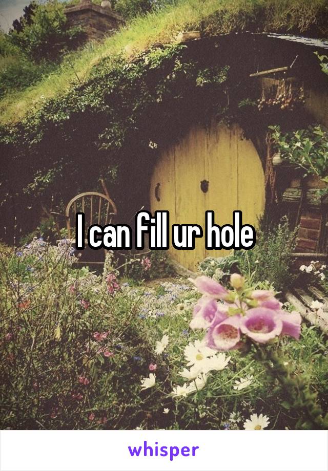 I can fill ur hole