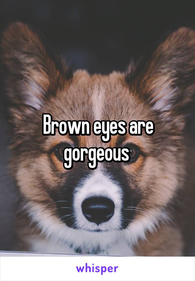 Brown eyes are gorgeous 