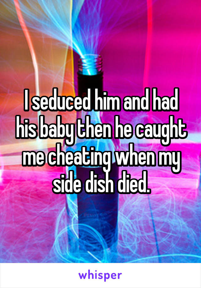 I seduced him and had his baby then he caught me cheating when my side dish died.