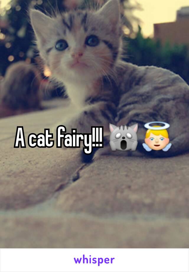 A cat fairy!!! 🙀👼