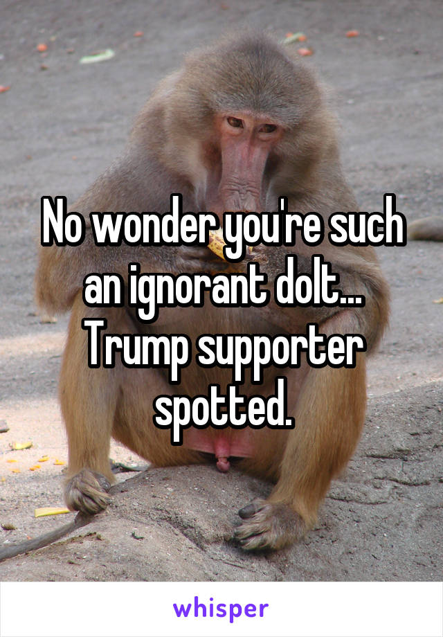 No wonder you're such an ignorant dolt...
Trump supporter spotted.