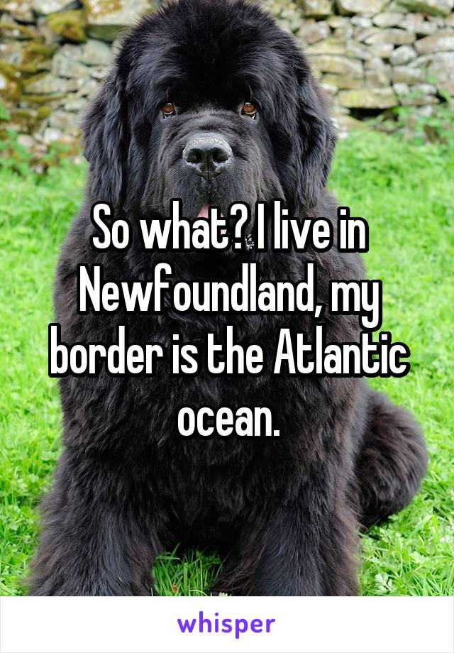 So what? I live in Newfoundland, my border is the Atlantic ocean.