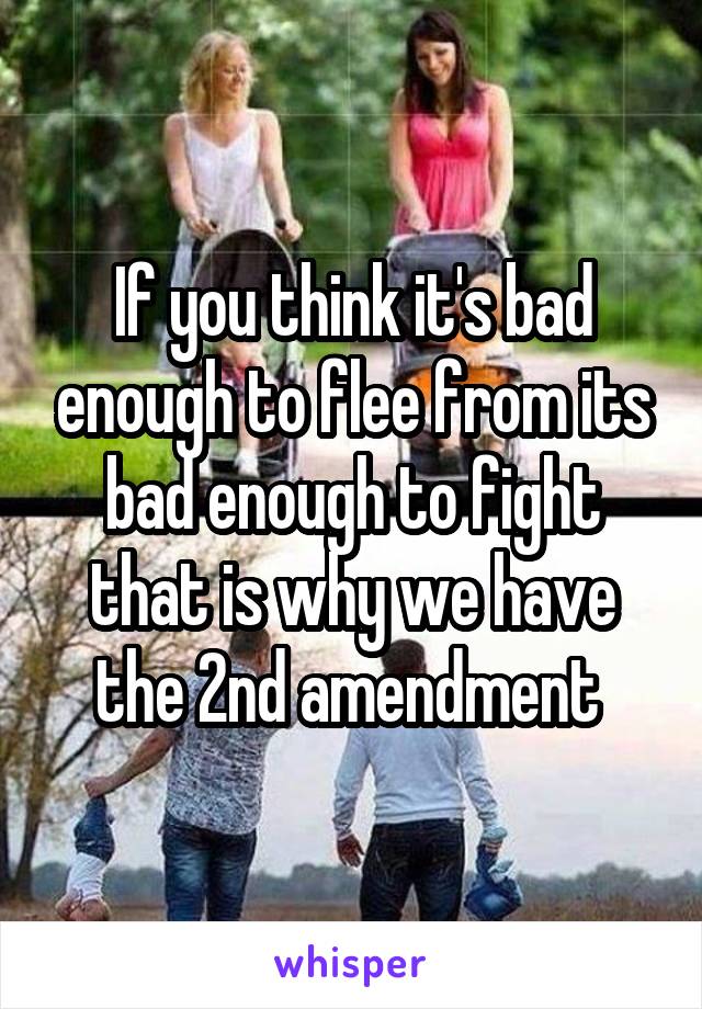 If you think it's bad enough to flee from its bad enough to fight that is why we have the 2nd amendment 