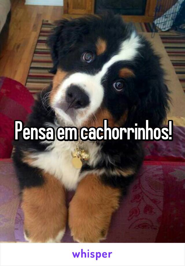 Pensa em cachorrinhos!