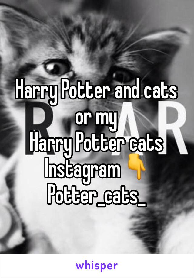 Harry Potter and cats or my 
Harry Potter cats 
Instagram👇
Potter_cats_ 