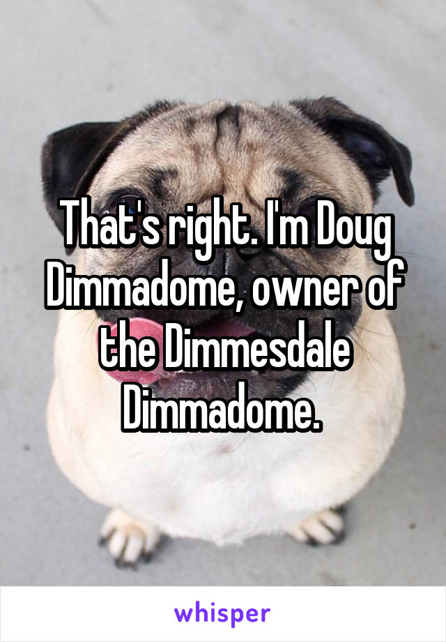 That's right. I'm Doug Dimmadome, owner of the Dimmesdale Dimmadome. 