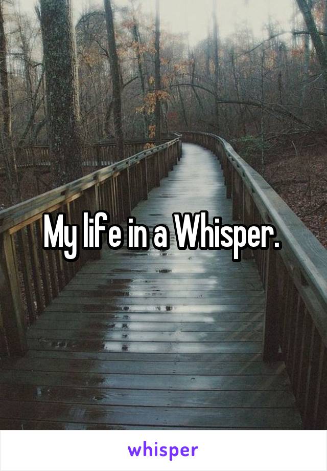 My life in a Whisper. 