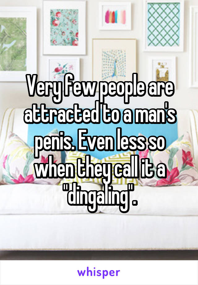 Very few people are attracted to a man's penis. Even less so when they call it a "dingaling".