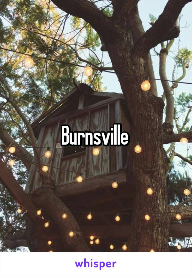 Burnsville 