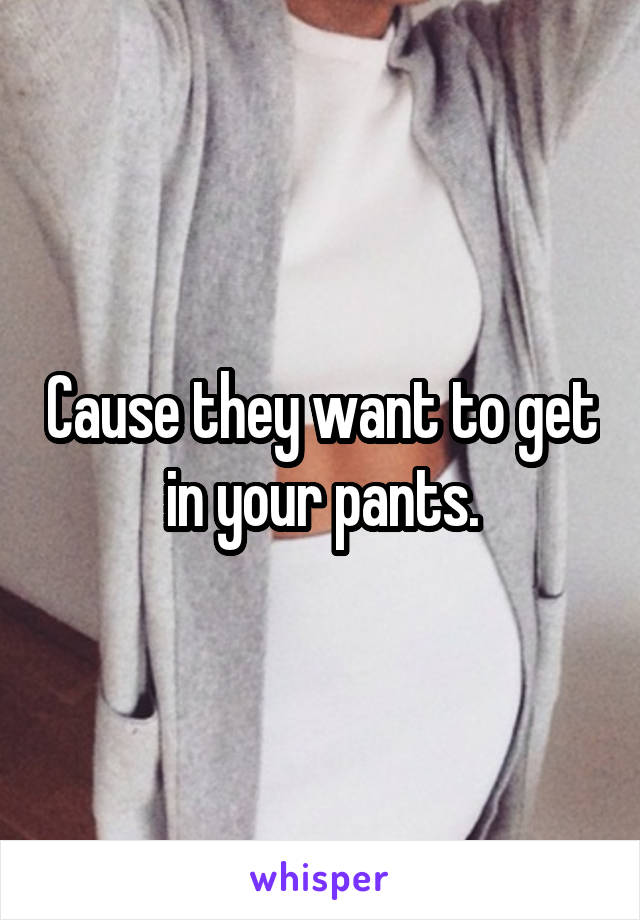 Cause they want to get in your pants.