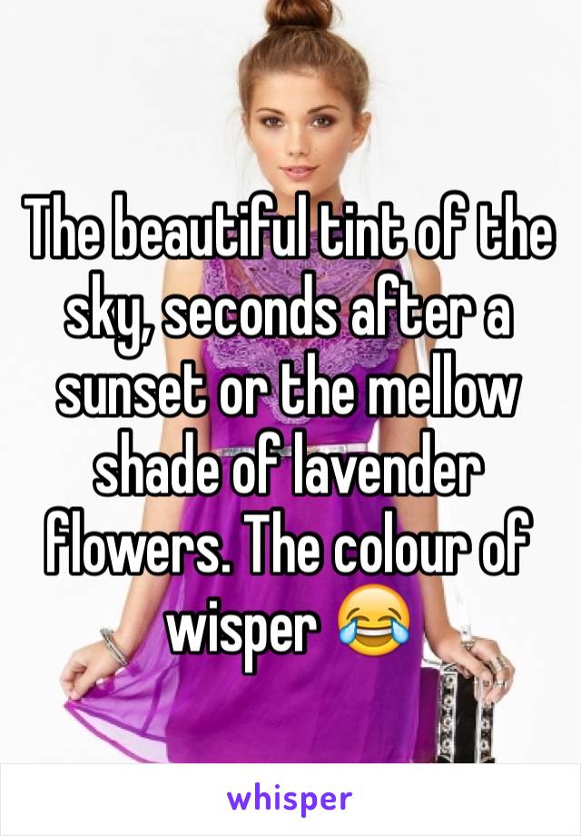 The beautiful tint of the sky, seconds after a sunset or the mellow shade of lavender flowers. The colour of wisper 😂