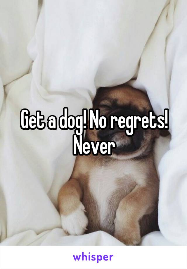 Get a dog! No regrets! Never