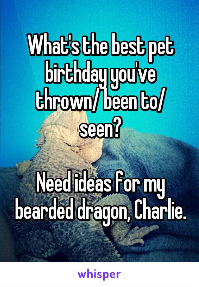 What's the best pet birthday you've thrown/ been to/ seen?

Need ideas for my bearded dragon, Charlie. 