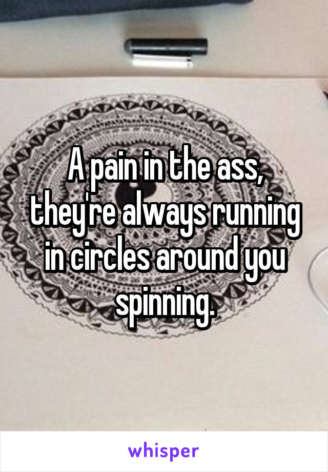 A pain in the ass, they're always running in circles around you spinning.