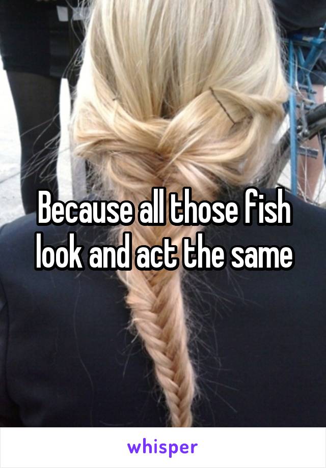 Because all those fish look and act the same