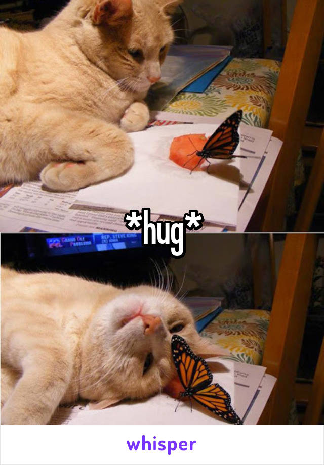 *hug*