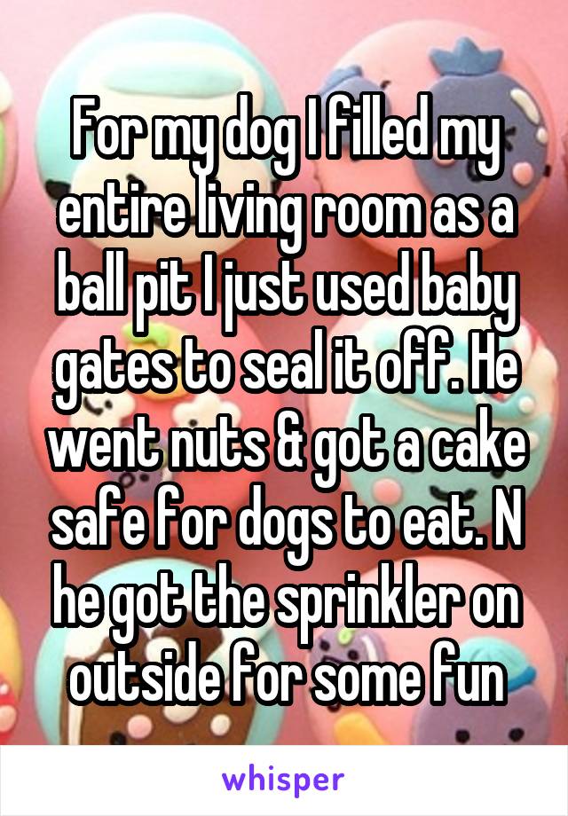 For my dog I filled my entire living room as a ball pit I just used baby gates to seal it off. He went nuts & got a cake safe for dogs to eat. N he got the sprinkler on outside for some fun