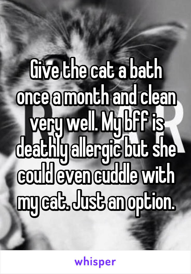 Give the cat a bath once a month and clean very well. My bff is deathly allergic but she could even cuddle with my cat. Just an option.