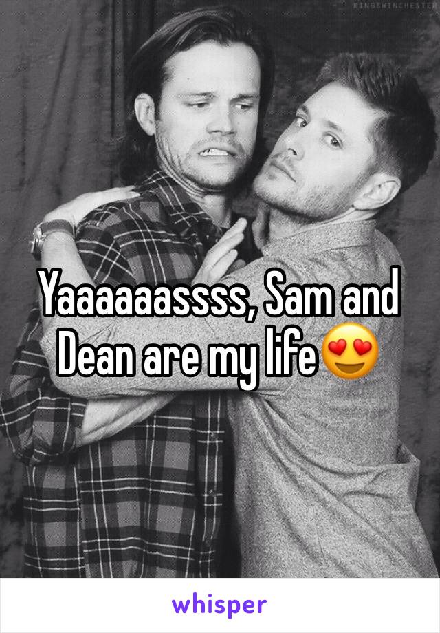 Yaaaaaassss, Sam and Dean are my life😍