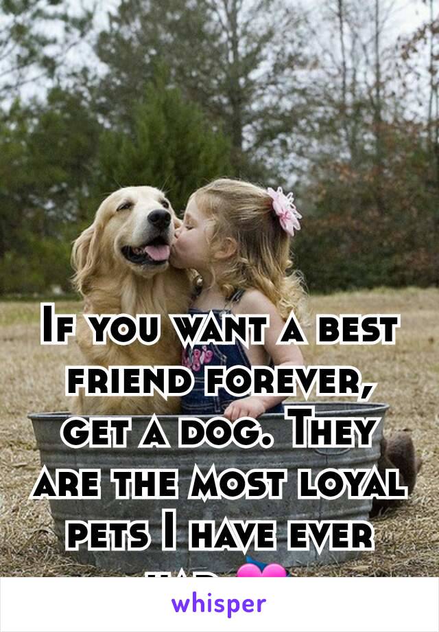 If you want a best friend forever, get a dog. They are the most loyal pets I have ever had.💝
