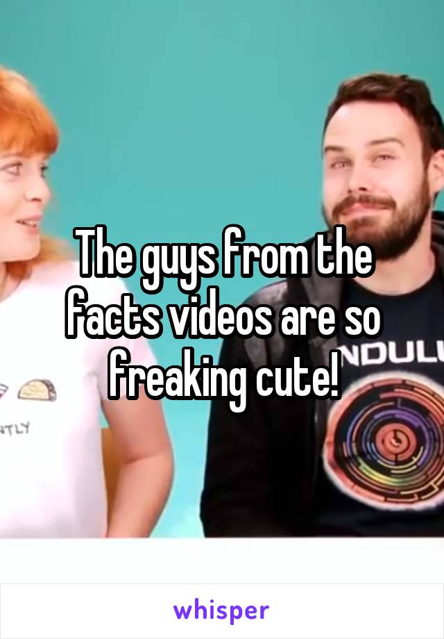 The guys from the facts videos are so freaking cute!