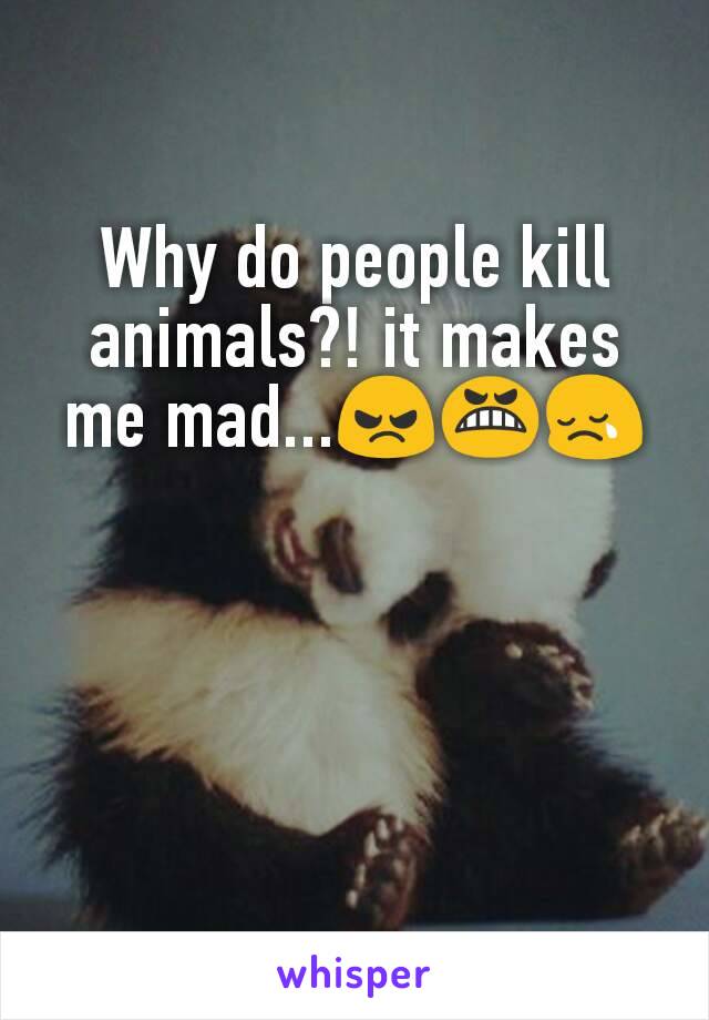 Why do people kill animals?! it makes me mad...😠😬😢