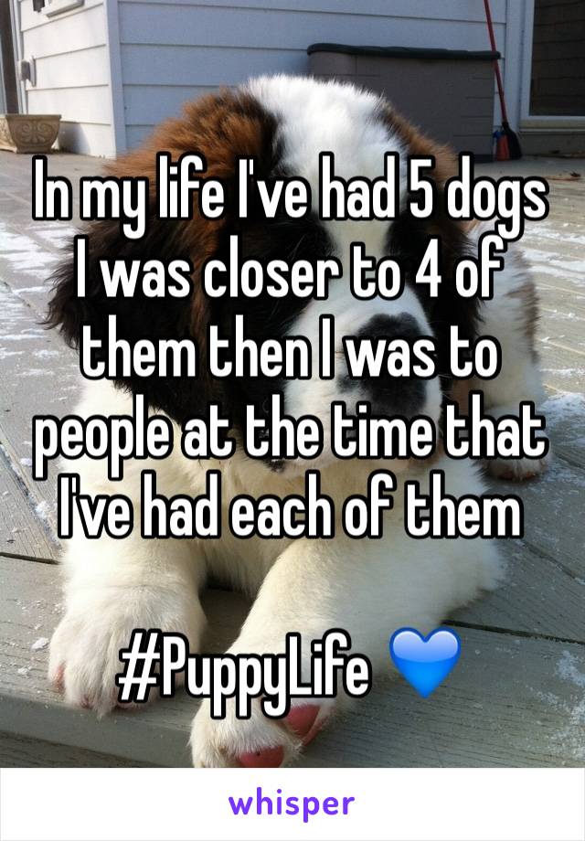 In my life I've had 5 dogs
I was closer to 4 of them then I was to people at the time that I've had each of them

#PuppyLife 💙