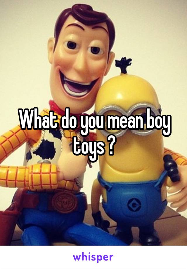 What do you mean boy toys ?