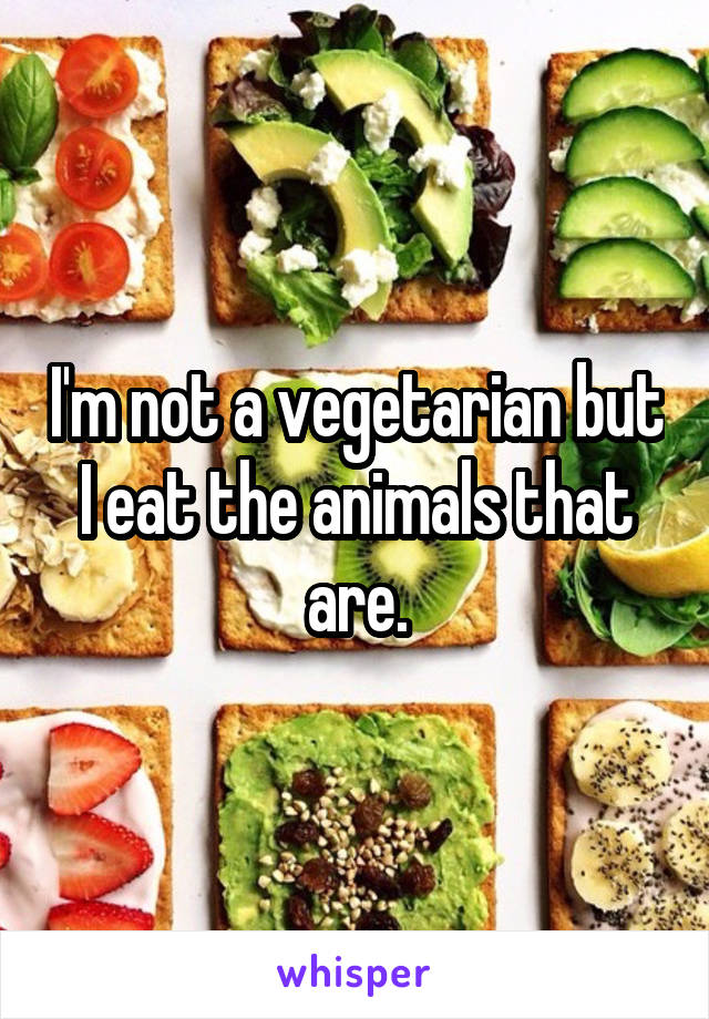 I'm not a vegetarian but I eat the animals that are.