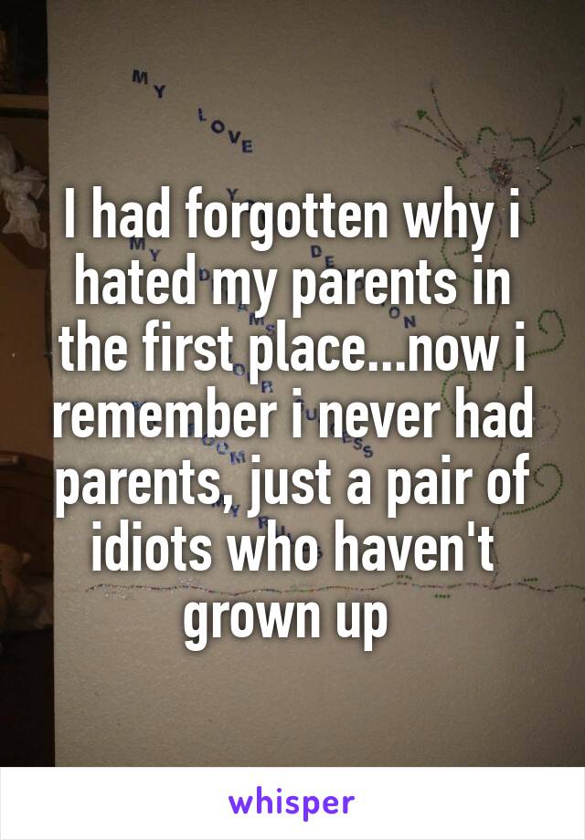 I had forgotten why i hated my parents in the first place...now i remember i never had parents, just a pair of idiots who haven't grown up 