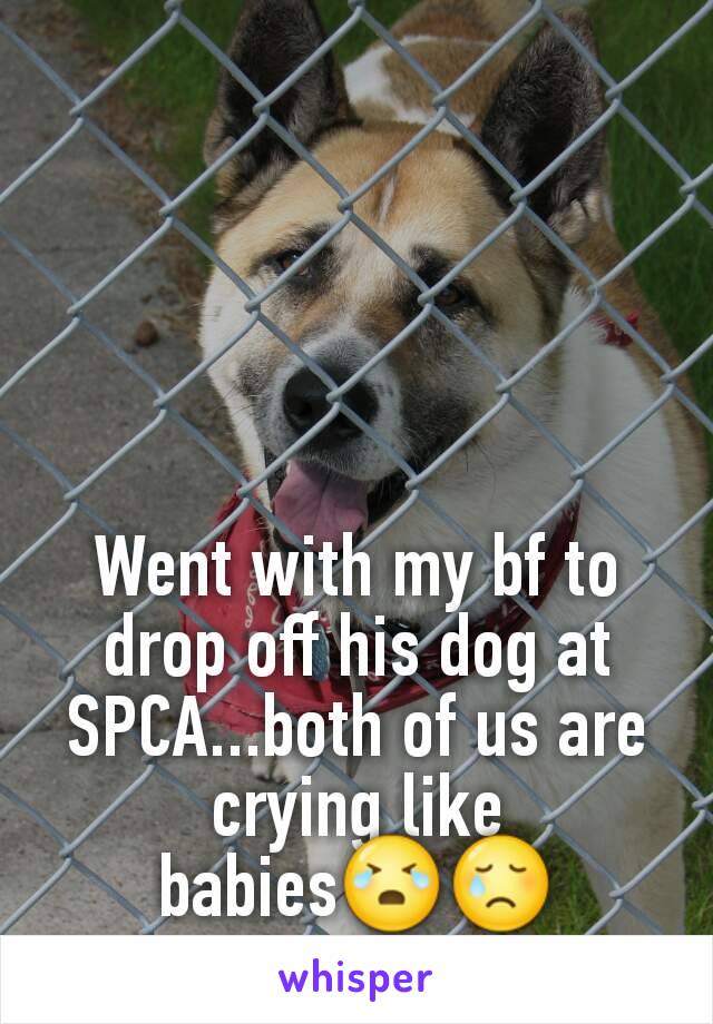 Went with my bf to drop off his dog at SPCA...both of us are crying like babies😭😢
