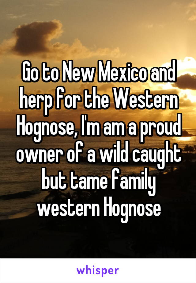 Go to New Mexico and herp for the Western Hognose, I'm am a proud owner of a wild caught but tame family western Hognose