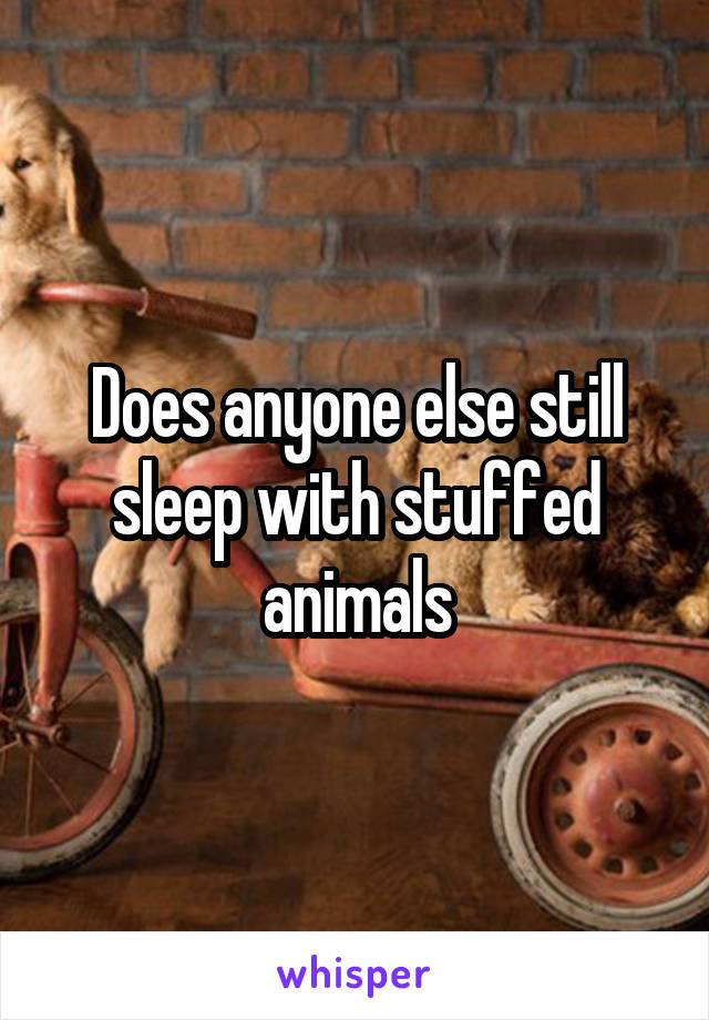 Does anyone else still sleep with stuffed animals
