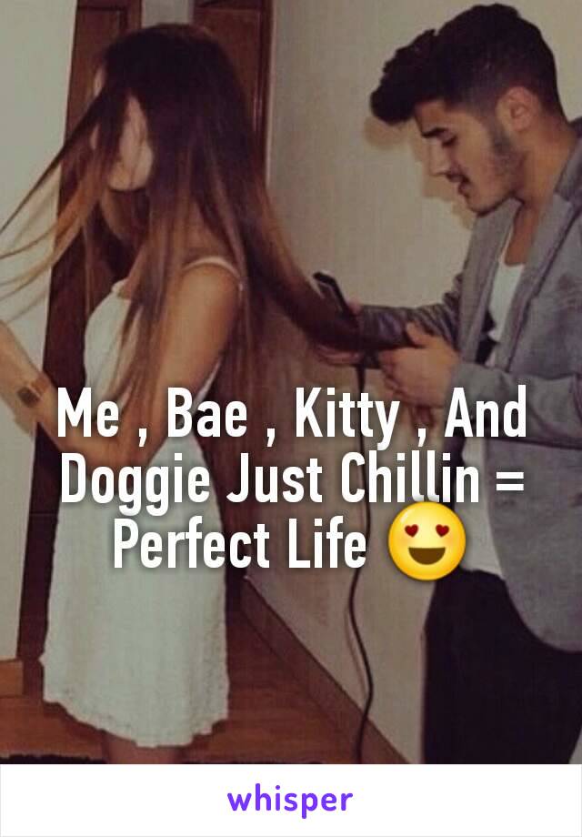 Me , Bae , Kitty , And Doggie Just Chillin = Perfect Life 😍