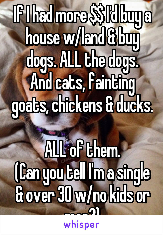If I had more $$ I'd buy a house w/land & buy dogs. ALL the dogs.
And cats, fainting goats, chickens & ducks. 
ALL of them.
(Can you tell I'm a single & over 30 w/no kids or man?)