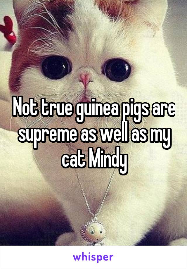 Not true guinea pigs are supreme as well as my cat Mindy