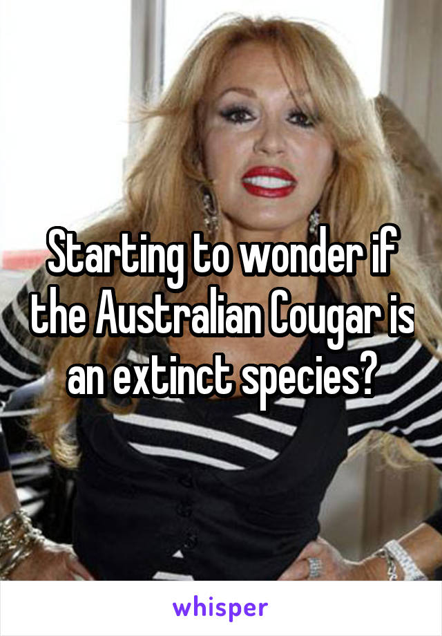 Starting to wonder if the Australian Cougar is an extinct species?