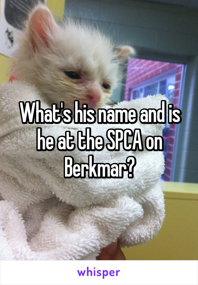 What's his name and is he at the SPCA on Berkmar?