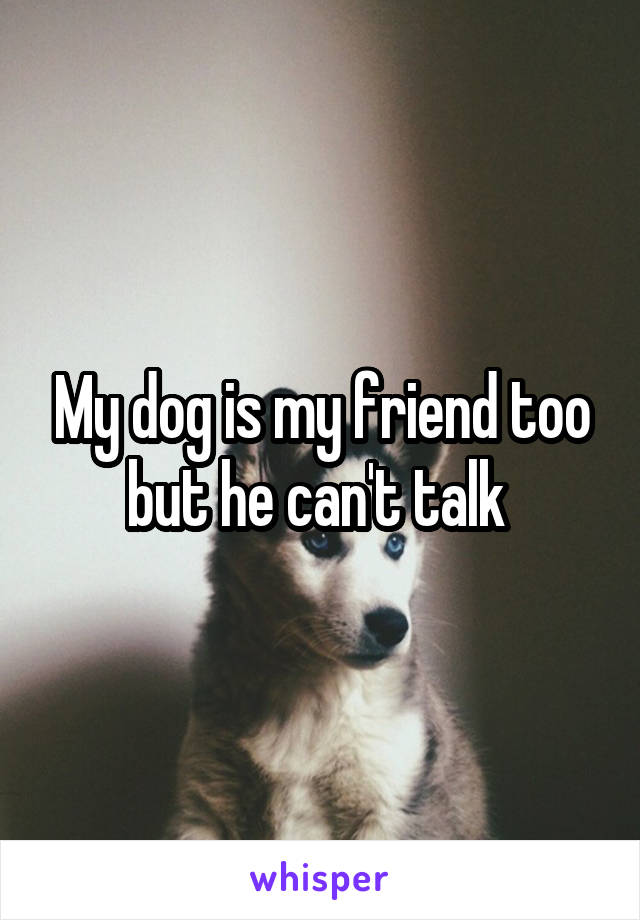 My dog is my friend too but he can't talk 