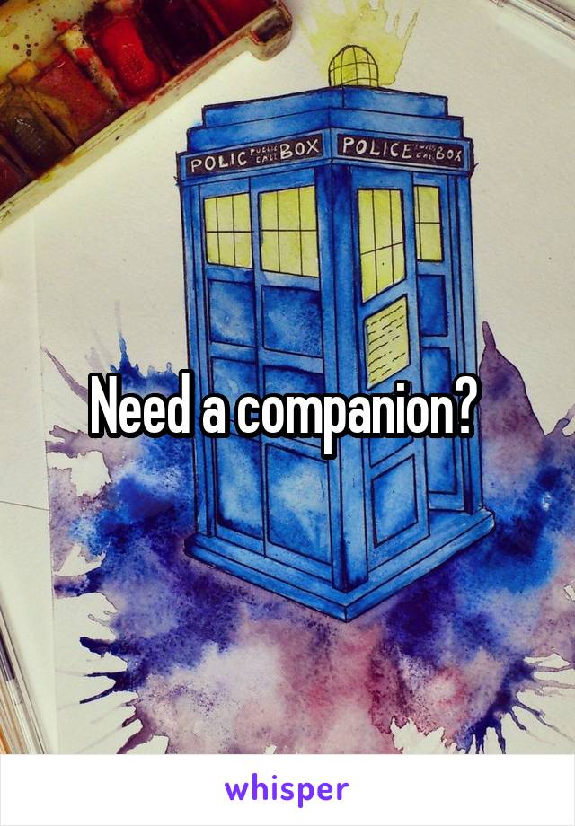 Need a companion? 