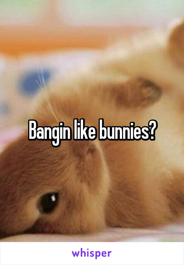 Bangin like bunnies?