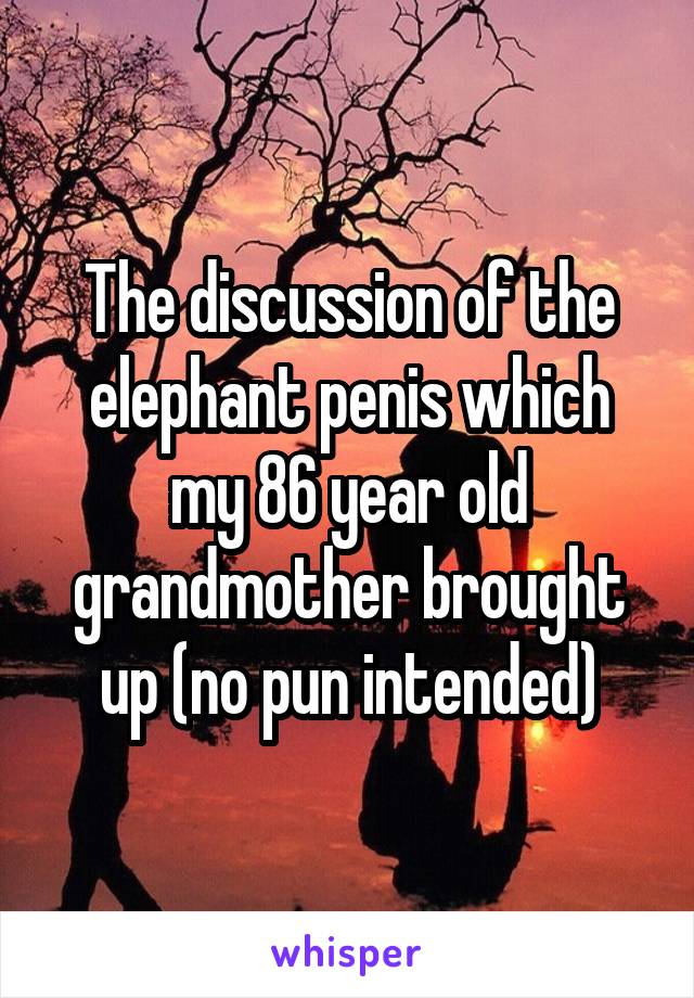 The discussion of the elephant penis which my 86 year old grandmother brought up (no pun intended)