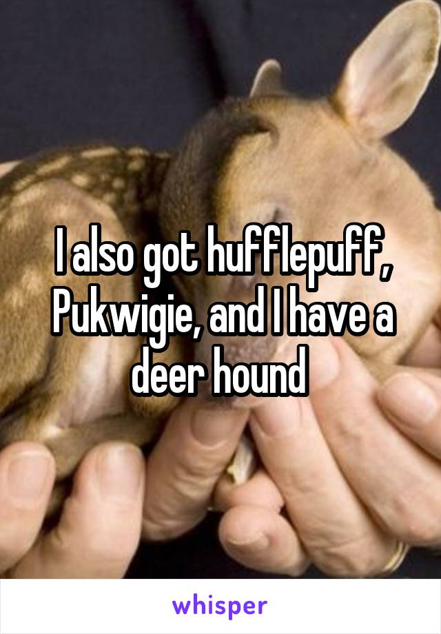 I also got hufflepuff, Pukwigie, and I have a deer hound 