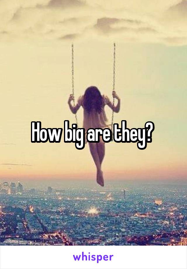 How big are they? 