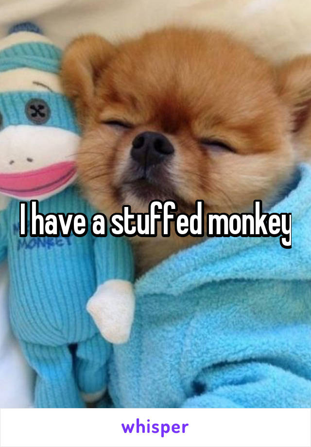 I have a stuffed monkey