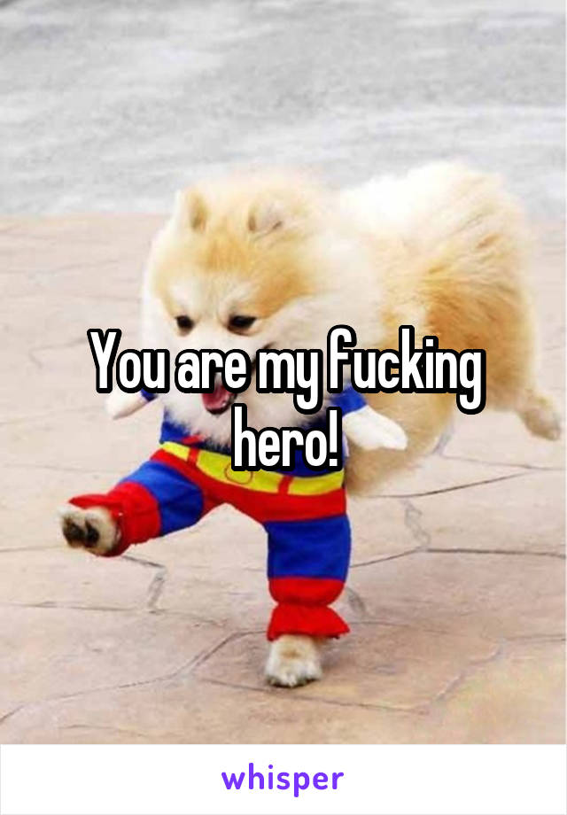 You are my fucking hero!